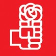 Grupo Político Municipal del Partido Socialista Obrero Español (PSOE)